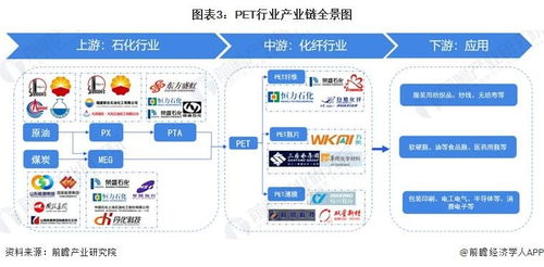 预见2023 中国PET行业全景图谱——市场现状、竞争格局与发展趋势解析